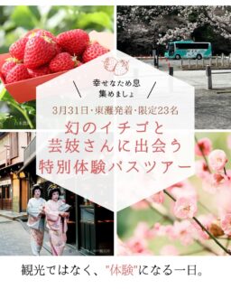 とある乗務員さんの
“やってみたい”という一言から始まったこの物語。

神戸で毎日バスを走らせながら、
この街の景色や魅力をもっと多くの人に
知ってもらいたいなぁ…

そこから少しずつ形になったのが
今回の小さなバス旅です。

❥-❥-❥-❥-❥

神戸市東灘区、灘区を出発して
まず、訪れるのは
100年の歴史を持つ「二郎いちご」の農園。
乗務員さんが自分で訪れ話をして想いを重ねて選んだ白木農園さん
@shirakinoen 

市場にはほとんど出回らず、
いちご狩りの予約もなかなか取れないと言われる
あまくておいしい幻のいちごです。

そしてそのあと向かうのは
日本三古湯のひとつ、有馬温泉。

今回は特別に
有馬芸妓さんにもご一緒にバスにご乗車。
@arimageiko 

ガイドブックには載らないとっておきの有馬のお話が聞けるかも。
有馬に到着したら三味線の音に癒され
ねね橋のあたりで一緒に写真を撮りましょう。

そのあとはみなさまそれぞれ有馬温泉街をお楽しみください。
ランチと入浴をご希望の方は別途手配も可能です
ご相談ください。

観光ではなく、神戸の文化を体験する1日。

乗務員も私も
初めての主催ツアーなので少し緊張していますが、
みなさまを丁寧に、大切にお連れしたいと思っています。

「神戸って素敵だな」
「やっぱり神戸いいよね」
と思っていただける一日になりますように。

限定23名の小さなバス旅です。

一緒にこの物語の最初のページを
めくってくださる方をお待ちしています。

プロフィールリンクに特設ページをご用意しております
ぜひ見てみてくださいね🍓

それではお会いできるのを楽しみにしております♡