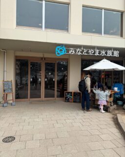 【おじょーのオススメ兵庫】

行ったことある！？
小学校を改装してできた 
「懐かしい×楽しい」 水族館！

📍 みなとやま水族館　🐟✨
@minatoyama_jp 

娘と何度行っても飽きない…
友達にも「そんなに⁉😂」って言われるくらい
推してます！

💡 おじょーの推しポイント 💡

✅ 小さなあの椅子に座って眺める水族館 🪑🐠 
水槽は低めの位置にあって、子どもたちも見やすいよ！
ぼーっと眺めてると癒されます♡

✅ チンアナゴになれる⁉ 🫣 
靴を脱いではいるスペースでは子どもたち大喜び😂

✅ ナマケモノや鳥たちと柵なしゼロ距離でご対面🦥 
ご飯中のナマケモノが見られたら超ラッキー🍀

✅ 釣ったニジマスをその場でサクッとフライに！ 
頭から尻尾まで丸かじり！お昼ご飯はこれでOK

✅ 給食室がクラフトビール工房に!?
窓から覗いてみてね👀✨
@openair.brewing のユニークなビールが飲めるよ
ニジマスフライと一緒に食べたらもう最高🍻🤭

✅ めちゃくちゃいい香りのハーブ屋さん🌿 
自家製ハーブティーも絶品😋
毎日ワークショップも行ってるから覗いてみてね
@herbshop.naturestudio 

ちょっとアクセスが悪いので、
タクシーで行くのがオススメ🚖

❥-❥-❥-❥-❥

#神戸 #kobe #みなとやま水族館 #水族館巡り #水族館好き #神戸観光 #兵庫観光 #子どもとお出かけ #ファミリー旅行 #週末のお出かけ #おじょーのオススメ兵庫
#観光タクシー #貸切タクシー #旅行好きな人と繋がりたい