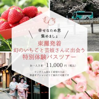 少し、特別な春にしませんか。

3月31日、東灘区発で
20名限定のバスツアーを開催します。

この度、扇観光として初めての主催企画。
きっかけは、とある乗務員の「やってみたい」という一言でした。
神戸に住んでバスやタクシーの乗務をしている中で
神戸の魅力を、自分たちの手で届けたい！
素敵なものを手にした時の幸せなため息を集めたい！
と想いが溢れて止まらないのです。

そうして生まれたのが
幻の二郎いちご狩りと、有馬芸妓さんとの出会い。

・神戸の地で長く愛されてきた市場に出回らないイチゴ🍓
・有馬芸妓という非日常の世界と三味線の音色、有馬にまつわるここだけのお話。お写真撮影も♡

お一人さま 11,000円（税込）にてご用意いたしました。
まずはキックオフツアーとして
不完全ではありますがお披露目。
お問い合わせはDMにて。

ランチと入浴をご希望の方はオプションにて手配可能です。
別途ご相談ください。

※東灘区の集合場所は参加いただくお客様のお住まいより決定させていただきたいと思います
※東灘区9:00出発16:30到着予定
※ツアー代には貸切バス、ガイド、いちご狩り、芸妓にかかる費用が含まれています
※詳細随時

@shirakinoen 
@arimageiko