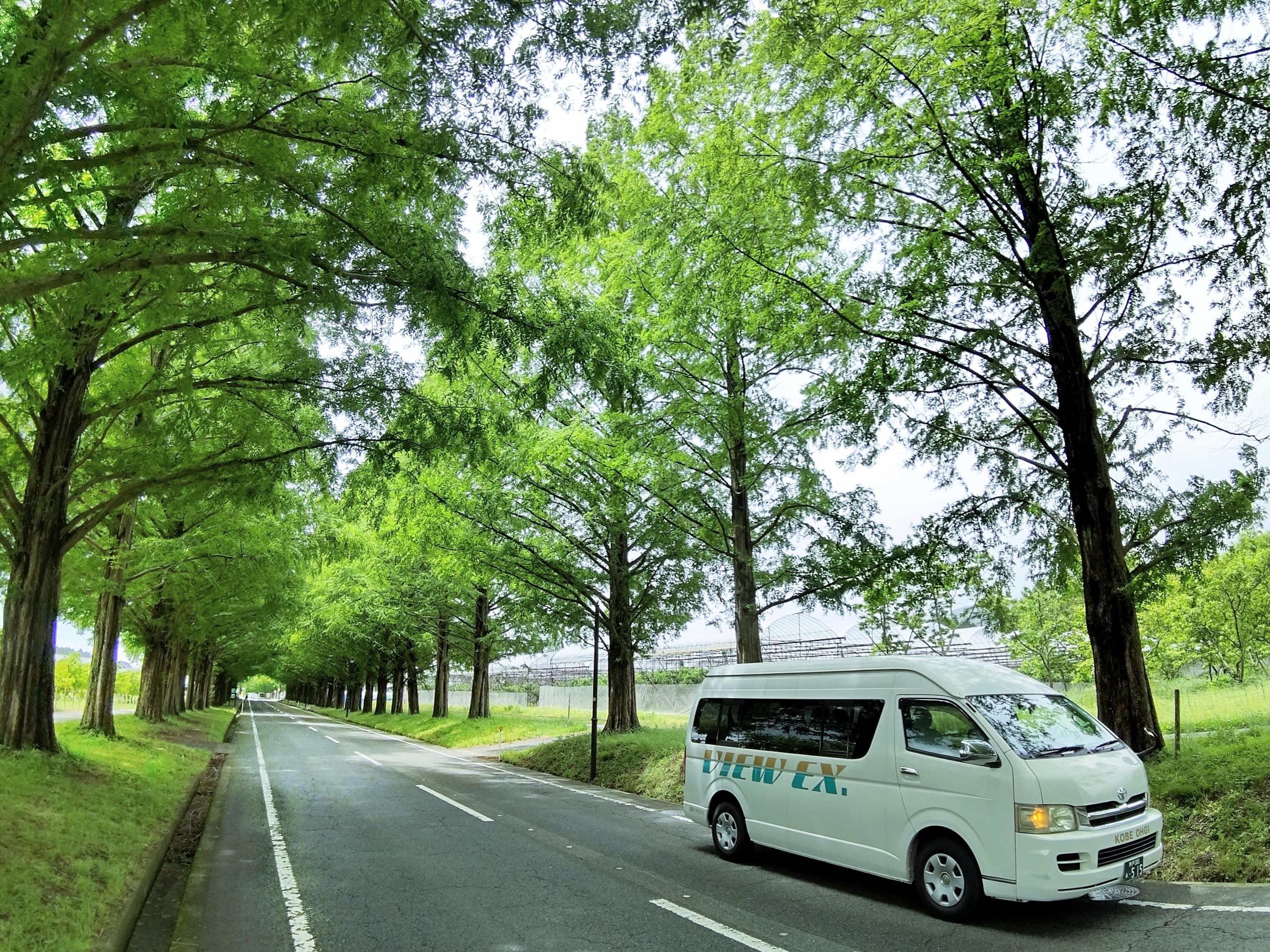 まるで緑のトンネル🌿

滋賀県のメタセコイア並木と
扇のジャンボハイヤー。

目的地へ向かう時間も、大切な旅の思い出📸
少人数のグループ旅行やご家族旅行でも、
ゆったり快適にお過ごしいただけます✨

季節ごとに表情を変える風景との出会いも、
貸切旅の楽しみのひとつですね

皆さんは新緑と紅葉、
どちらのメタセコイア並木がお好きですか？