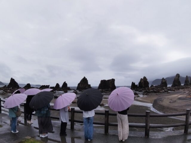 新しい傘が大活躍していた梅雨
神戸空港でお迎えして
雨の和歌山を訪れたのは婦人会の皆様。
お渡しした貸し出し用の傘をさして、
皆さまがゆっくり歩いていく後ろ姿が、とても素敵
神戸空港から和歌山をぐるっと巡る
ジャンボハイヤー2泊3日のご旅行。
「インスタに載せてもいいよ。」
と、温かいお言葉までいただき
本当にありがとうございました。
目的地までお送りするだけじゃない。
旅が終わったあとも
「楽しかったね」と思い出していただける時間を届けたい。
そんな気持ちで、今日も車を走らせます🚕